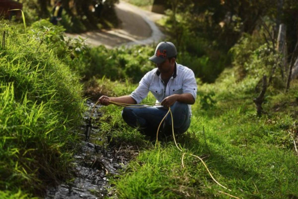 La lucha para salvar al Lempa, estratégico río centroamericano