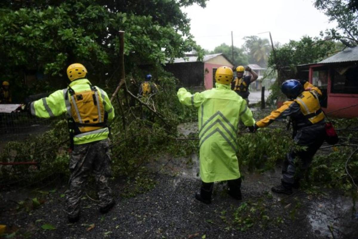 árboles descopados por las ráfagas de viento, tejados arrancados y coches sumergidos en las calles, dejó Irma. Foto AP