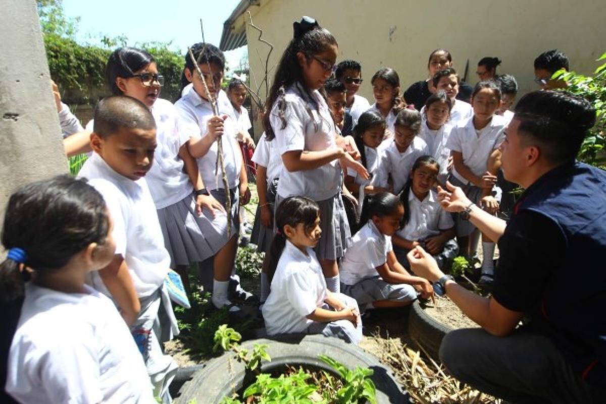 En la Escuela Raúl Zaldívar, niños aprenden sobre el abono orgánico