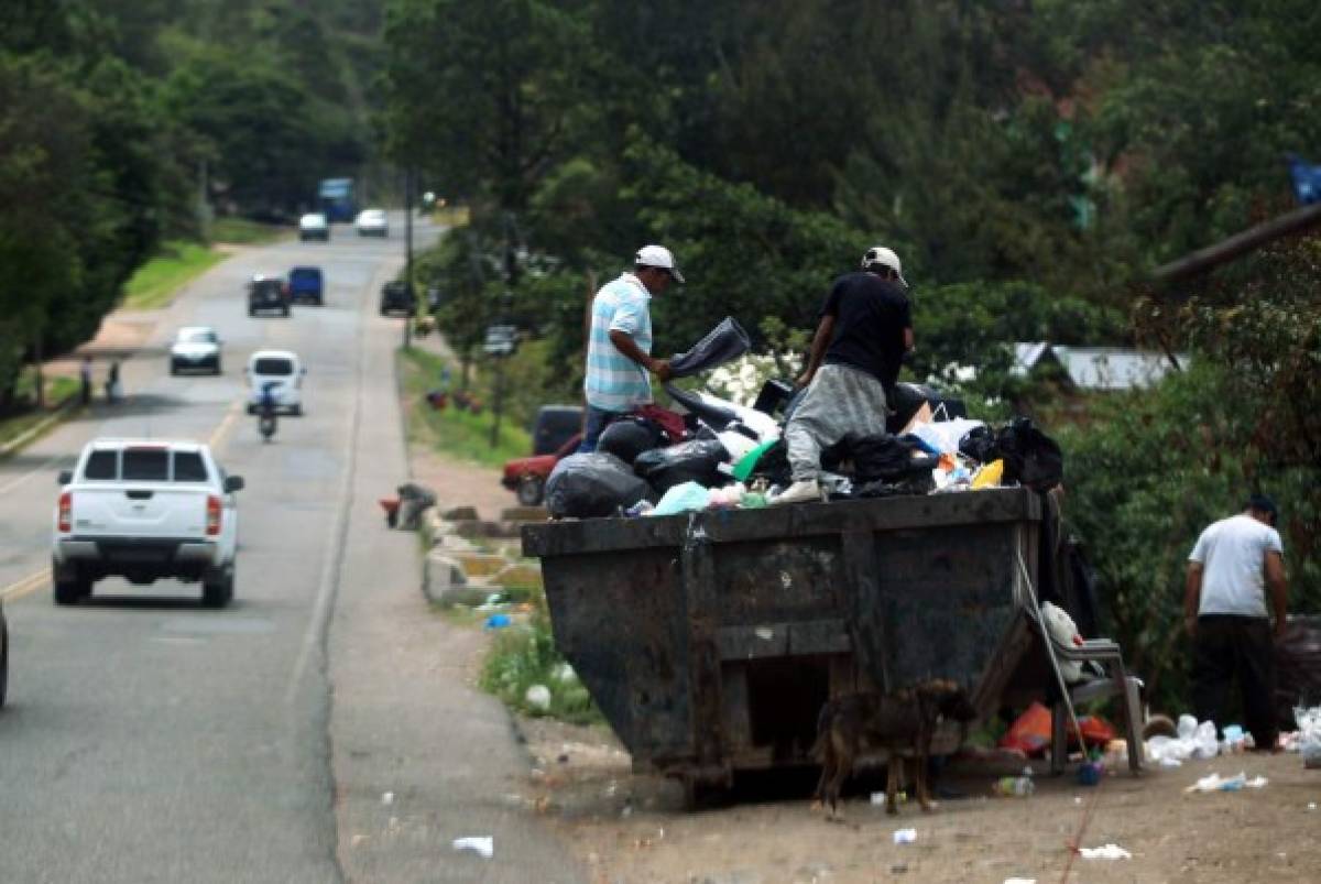 600 toneladas de basura por mes llegan al DC de municipios vecinos