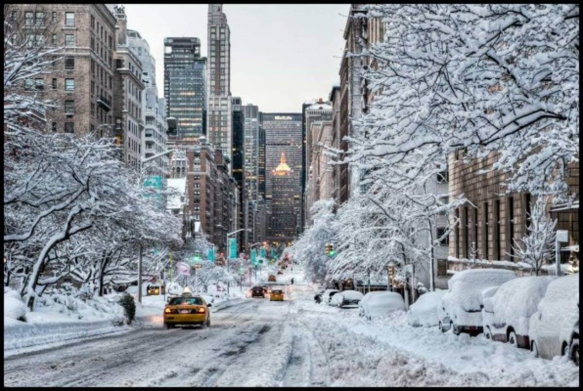 Las ciudades a adaptarse al cambio climático, de acuerdo con estudio