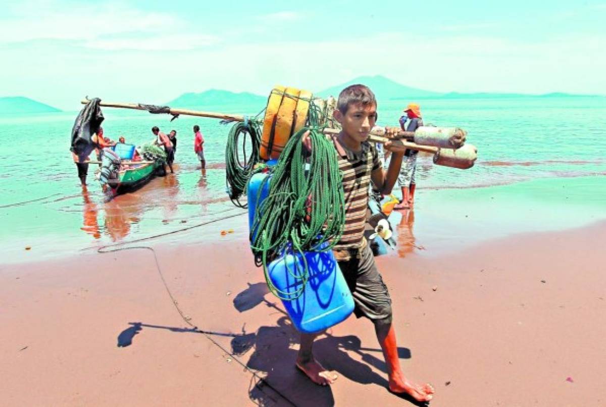 Honduras contará con nueva Ley de Pesca