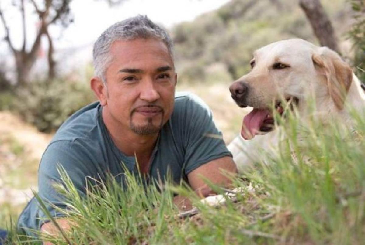 El 'Encantador de perros' César Millán está bajo investigación por posible maltrato animal