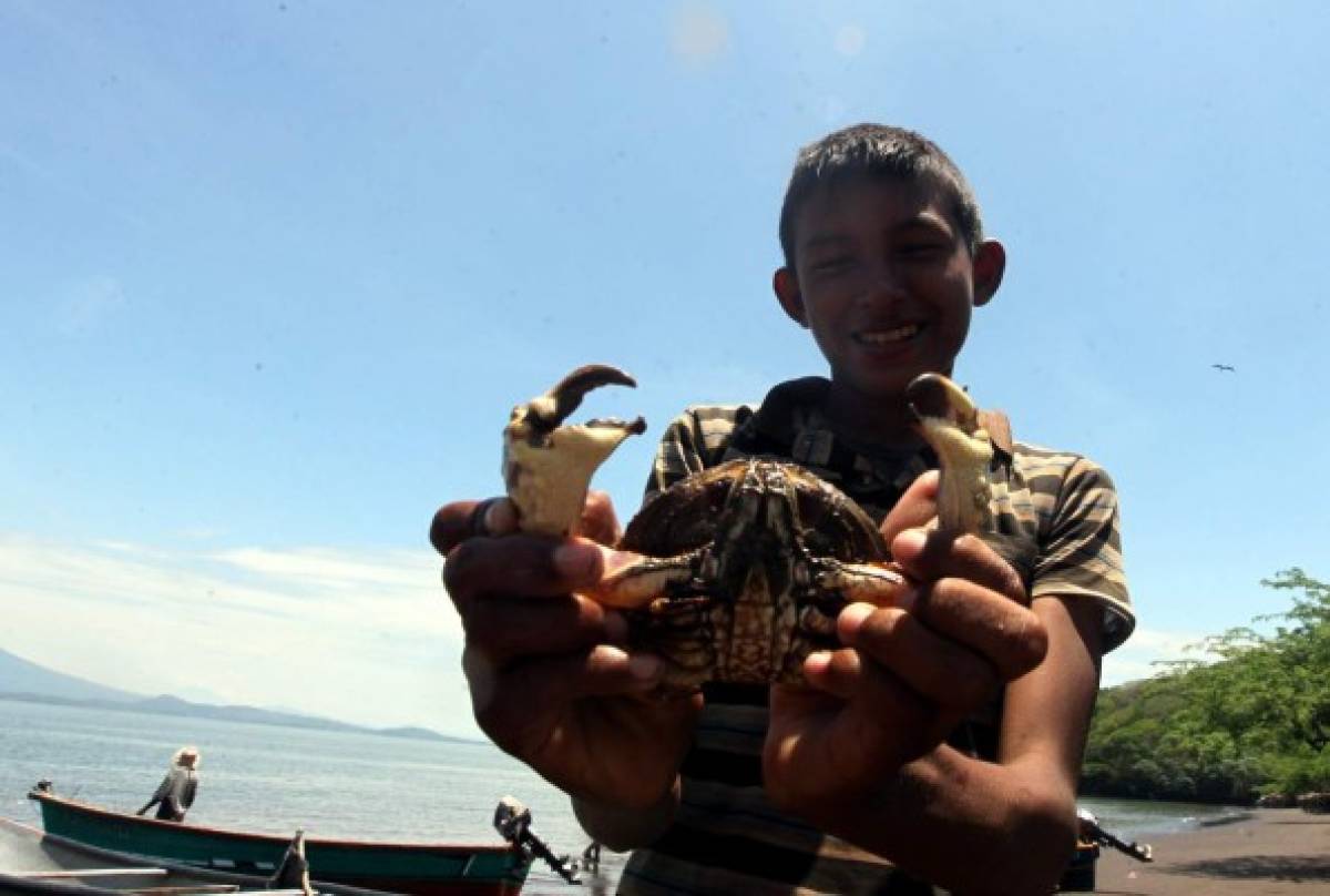 El Golfo de Fonseca, Un tesoro natural en el pacífico hondureño