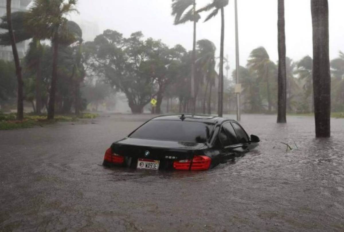 Confirman doce muertos por paso de huracán Irma en Florida   