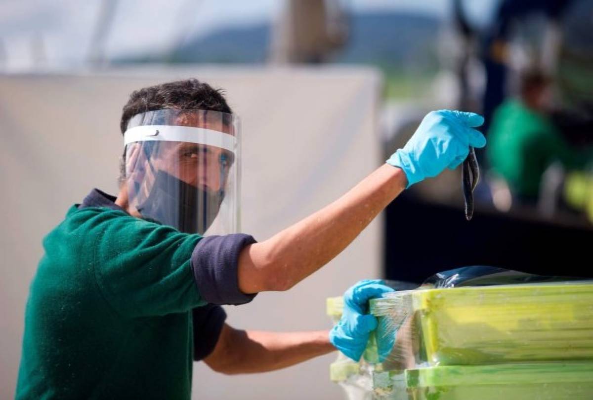 España registra ligero repunte y suma 430 muertes por coronavirus en 24 horas  