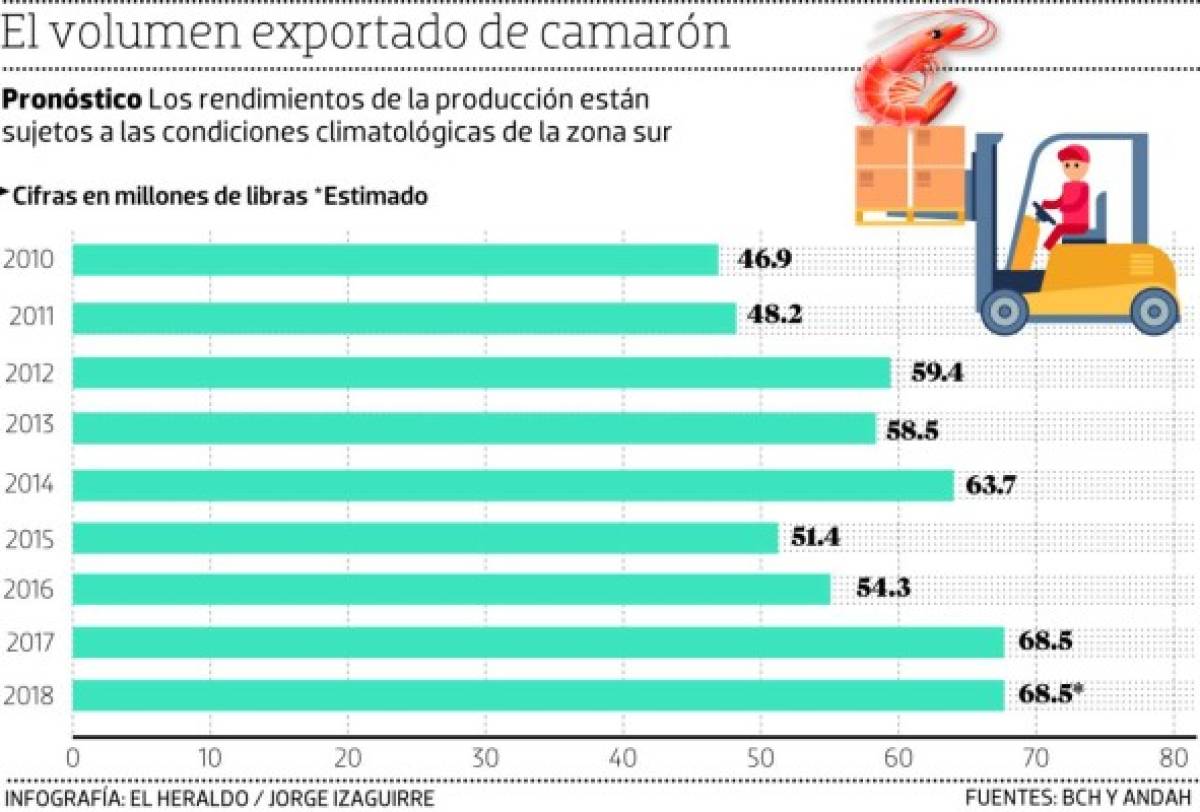 La exportación de camarón cayó en $9 millones en Honduras
