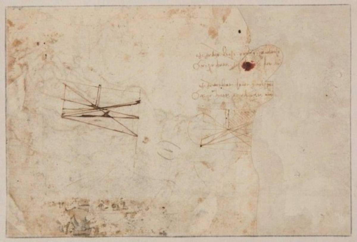 Un dibujo de gran valía reafirma el genio de Da Vinci