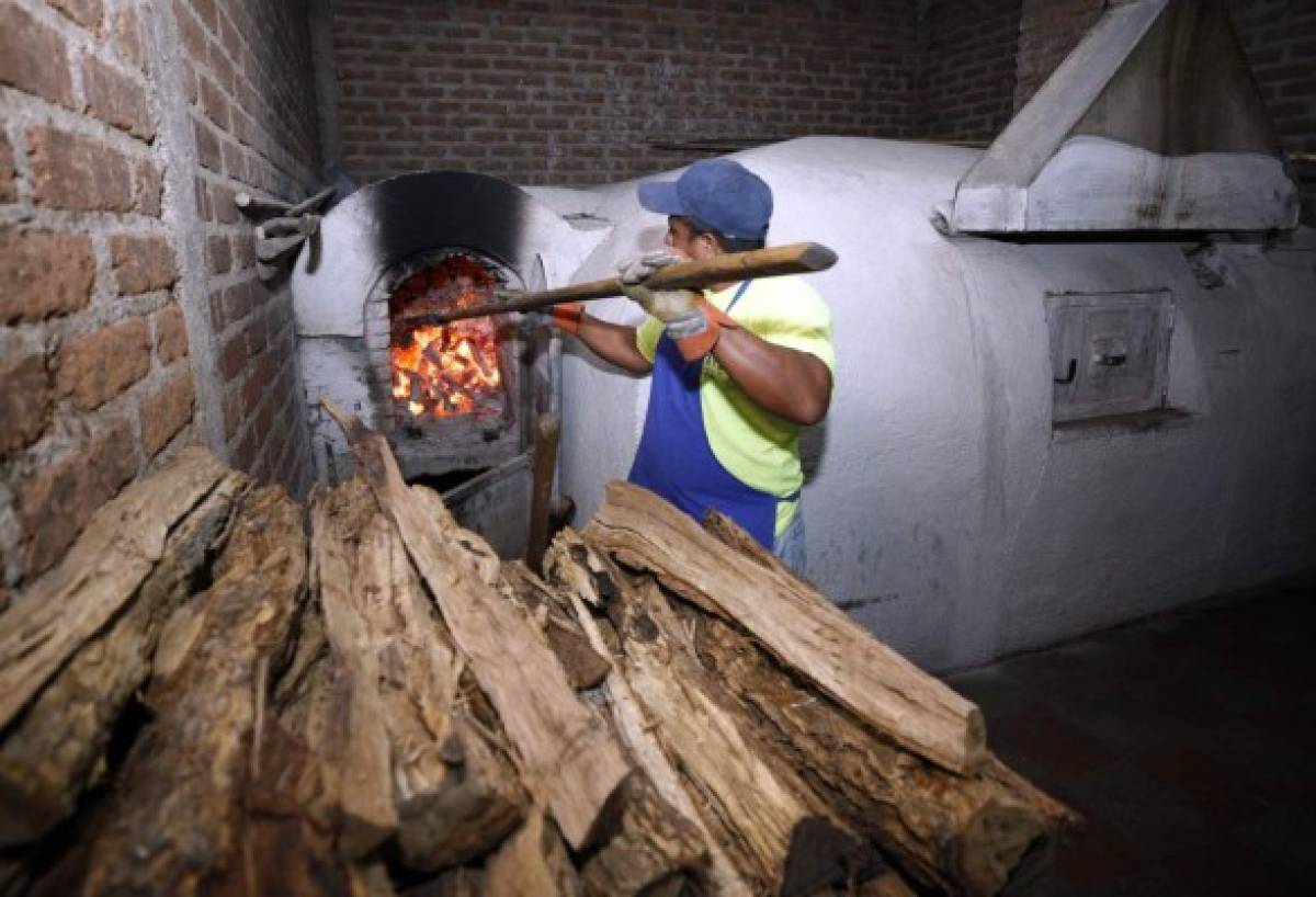 Los manjares más exquisitos que seducen el paladar en Danlí