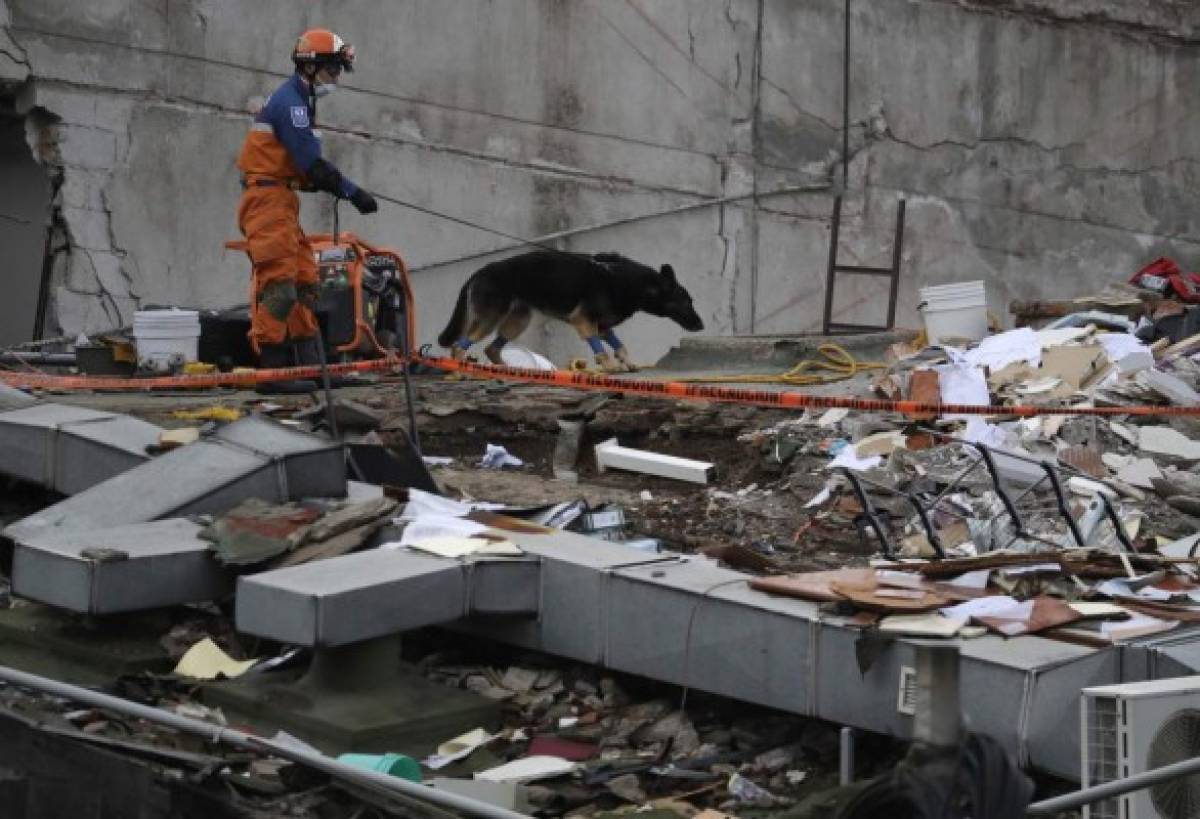 Familias a la expectativa de rescates tras el terremoto en México