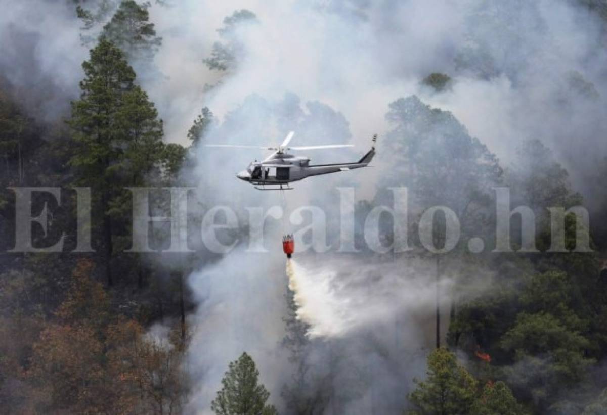 Presidente Hernández: 'Hay que dar con el culpable del incendio y llevarlo a la justicia”   