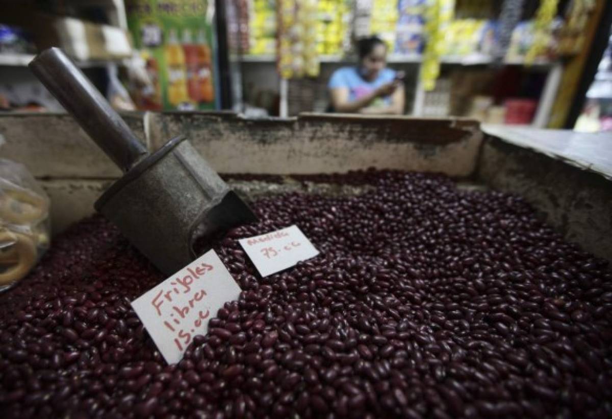 Honduras: Precio de frijoles sigue bajando en mercados populares