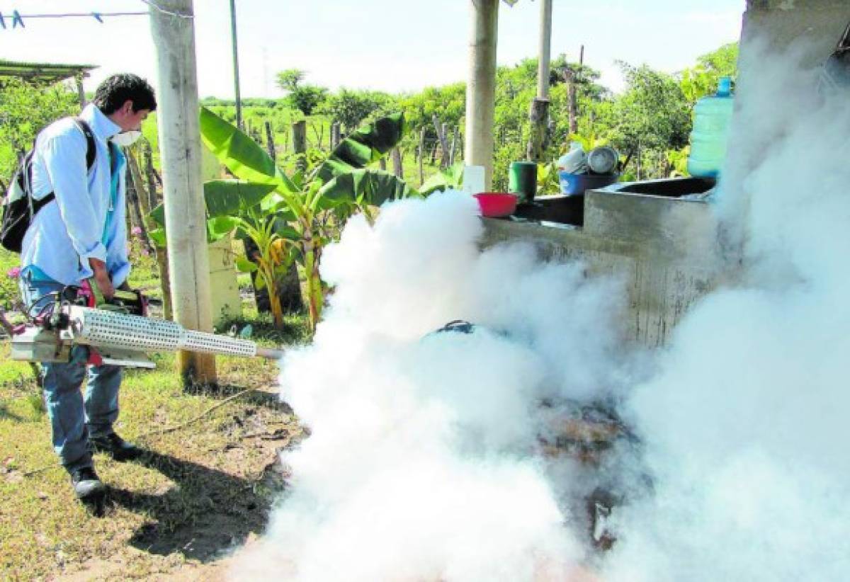 Más de siete mil casas intervenidas en operativo contra el zika