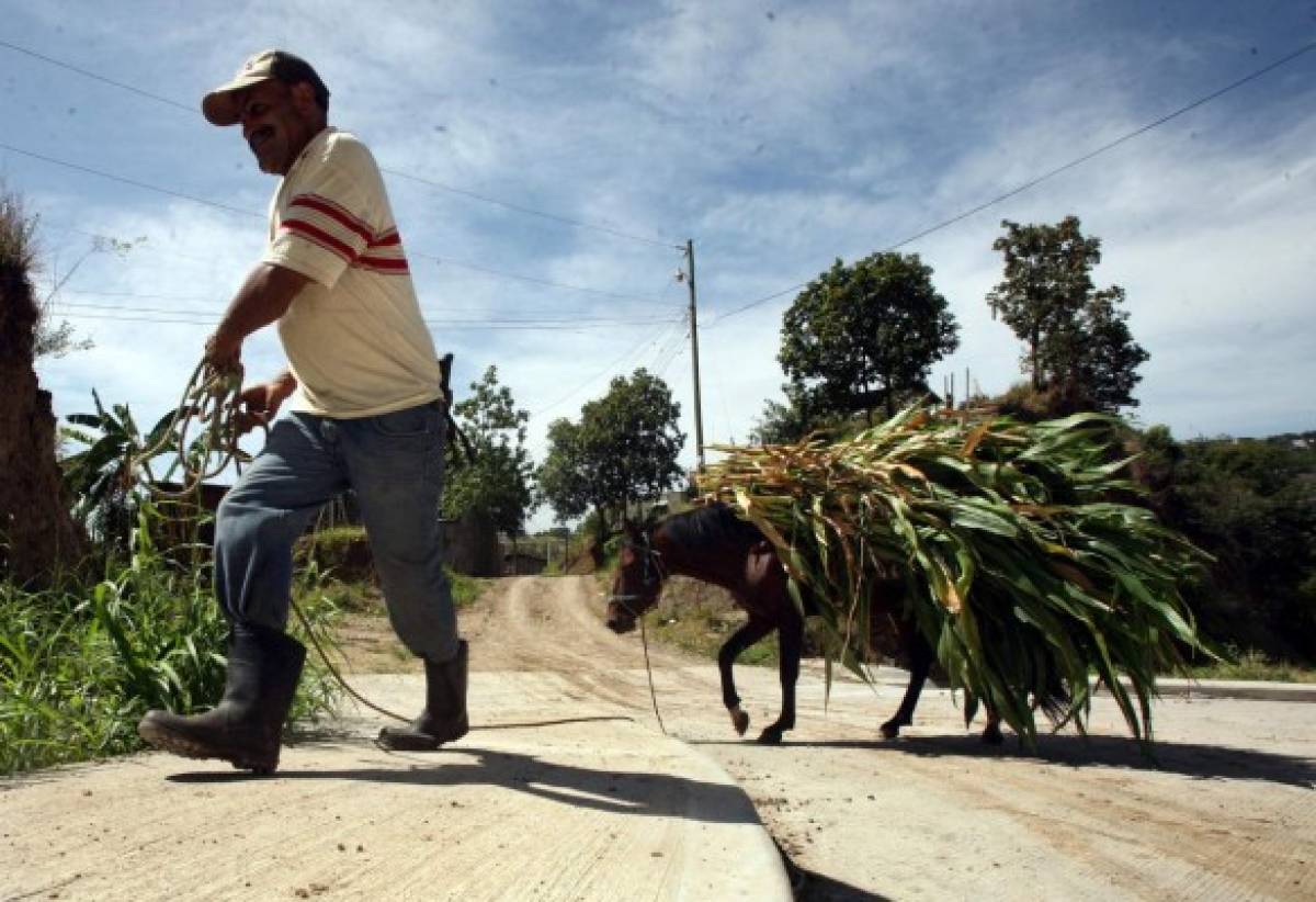 Las Fotos de la Semana en ElHeraldo.hn