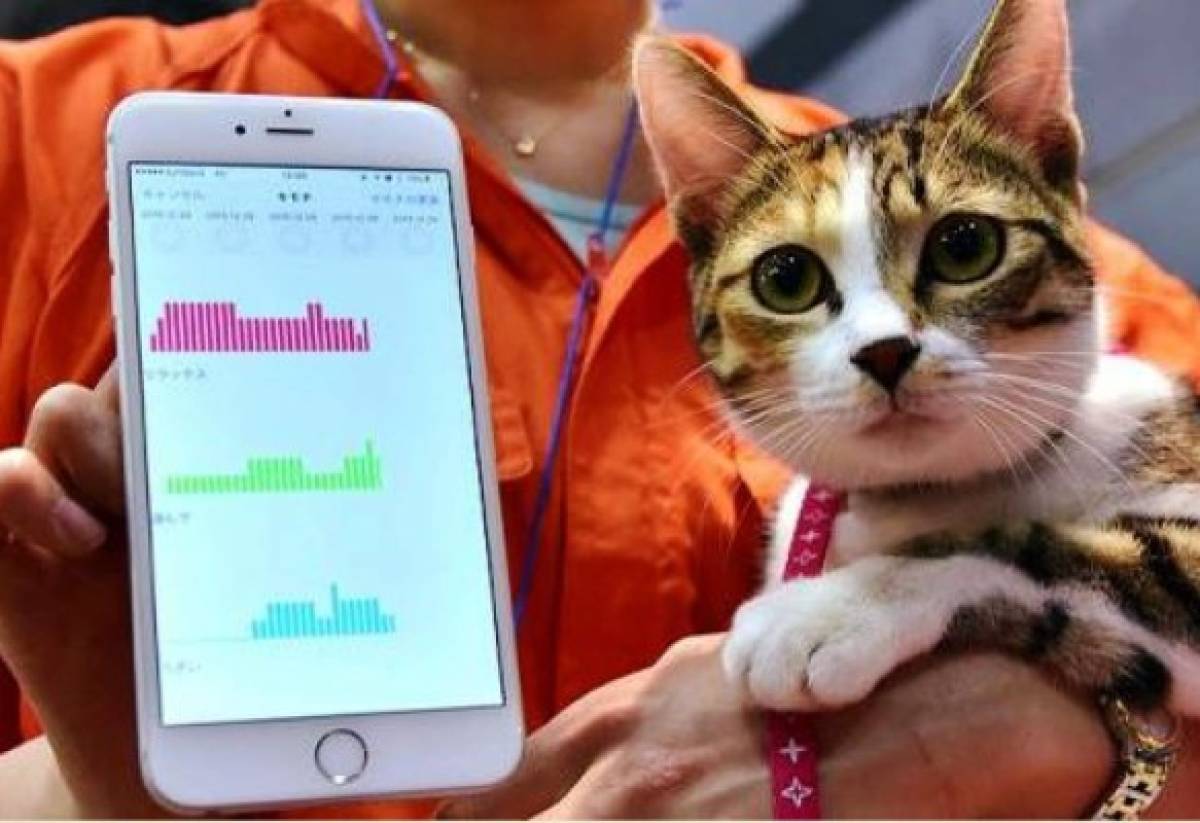 Llegan los aparatos electrónicos corporales a Japón, incluso para animales 