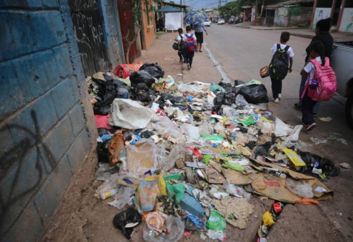 Siete de cada diez centros educativos tienen contaminación por la basura