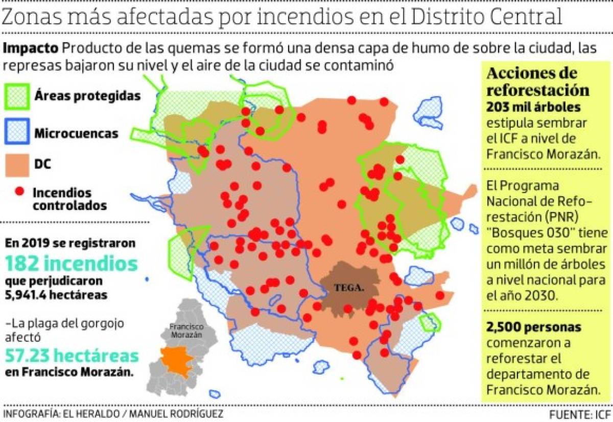 Cifras críticas de incendios y plagas en el Día del Árbol