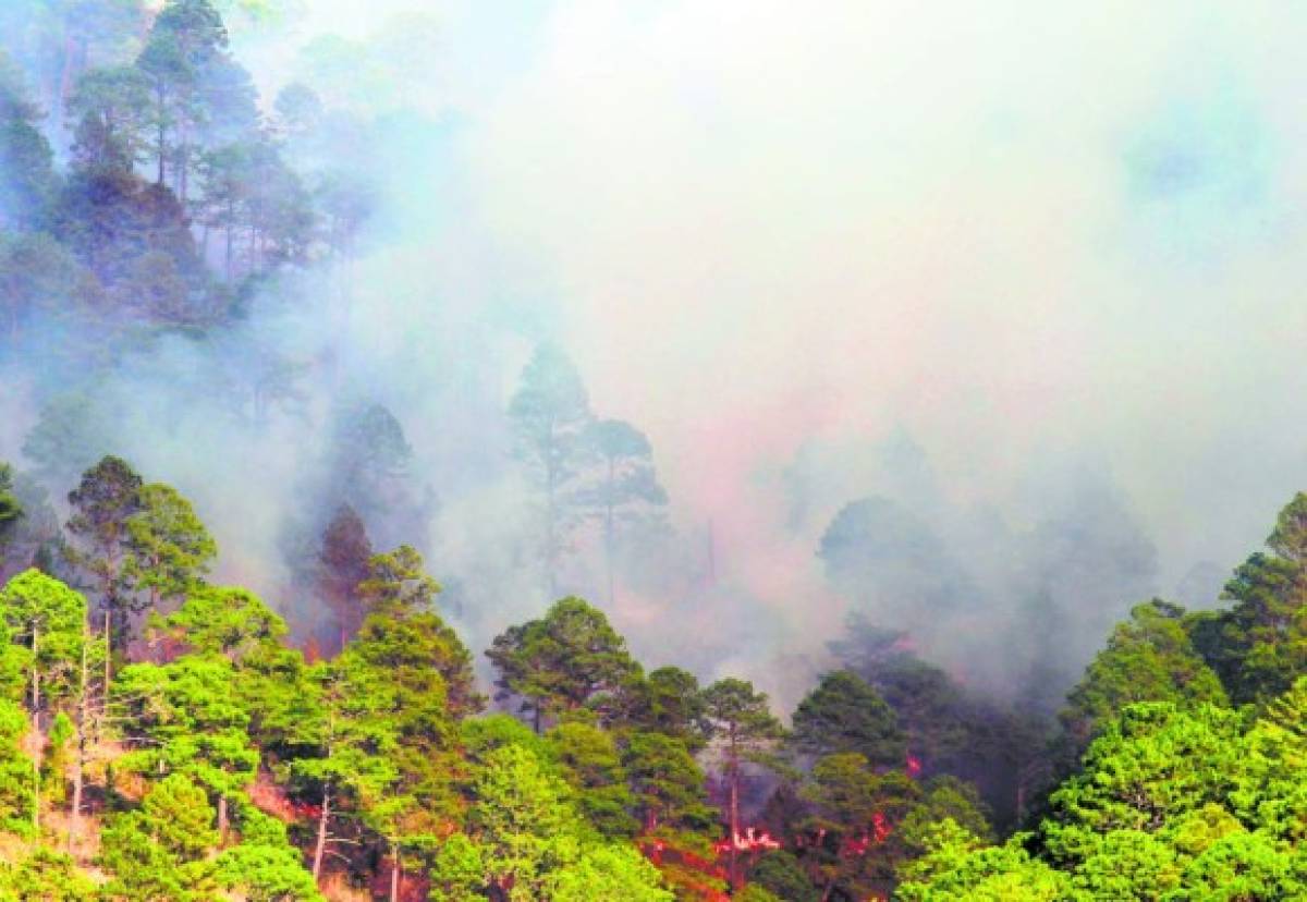 Imparable quema de bosques en Honduras