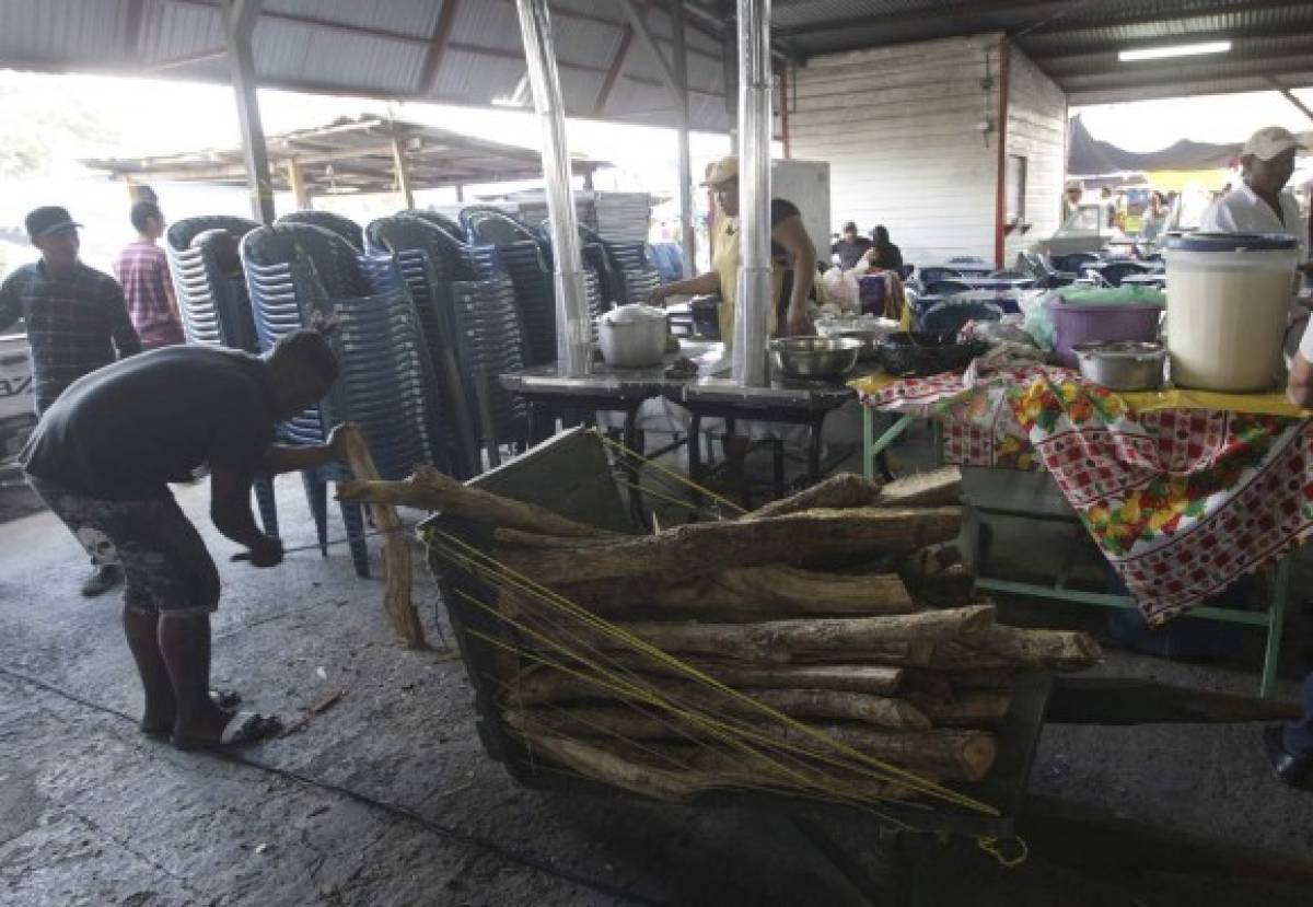 Retoman labores en Feria del Agricultor