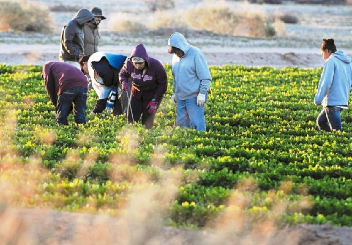 Unos 900 mil hondureños viven en Estados Unidos