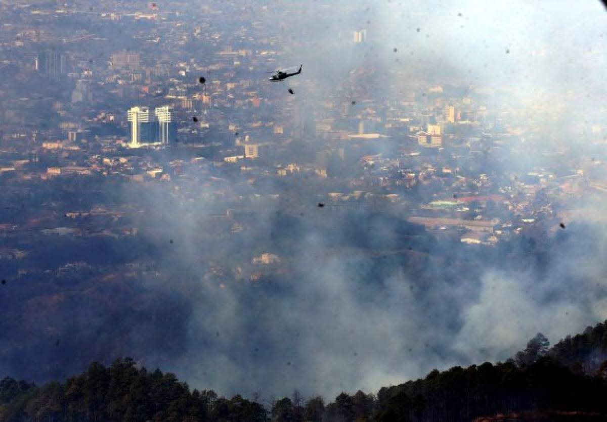 Honduras: Incendio daña 420 hectáreas de bosque en El Hatillo