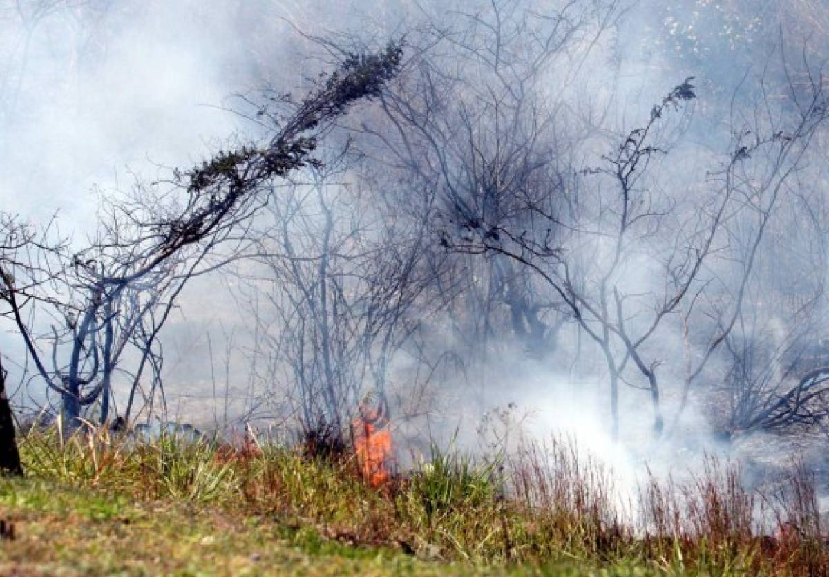 Cada 12 horas se quema una zacatera en la capital de Honduras