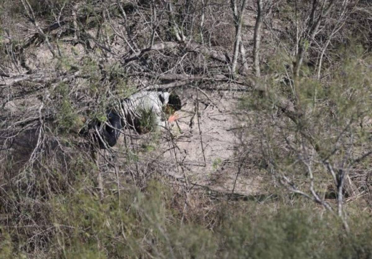 Migrante hondureño herido fue rescatado por patrulla fronteriza en el desierto de Arizona