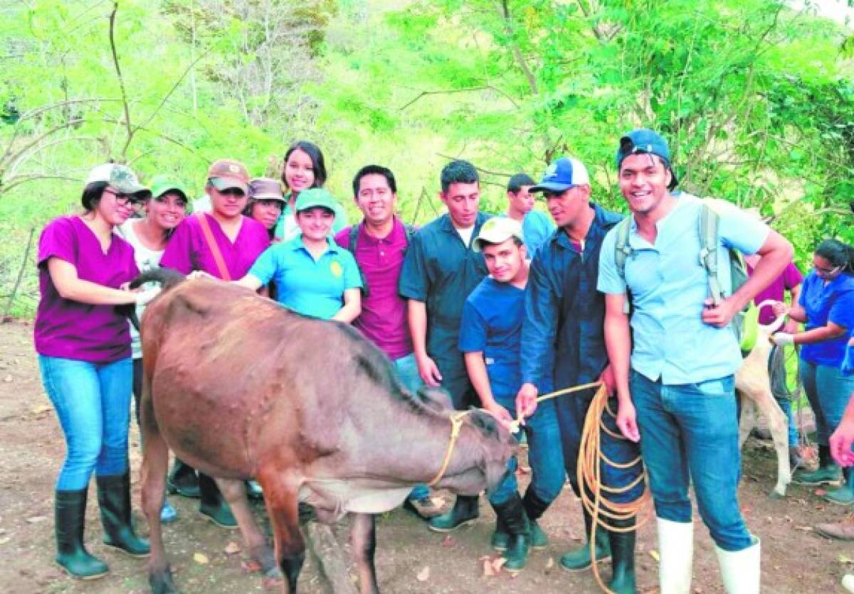 Cuestionan la calidad de la carrera de Medicina Veterinaria de la UNA