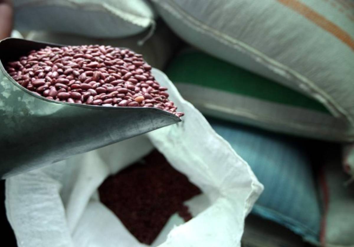 Frijoles importados de Etiopía por empresarios llegarán primero