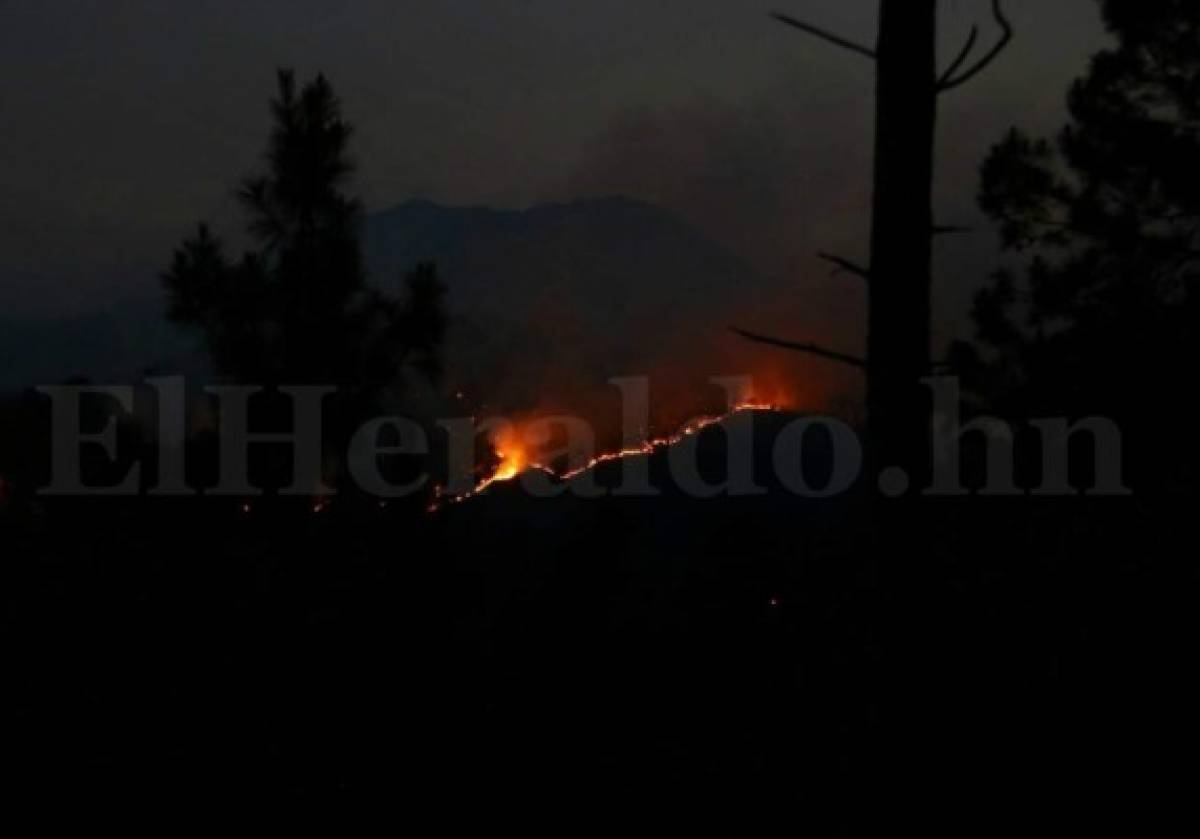 Honduras: Incendio amenaza ahora a montaña de La Tigra