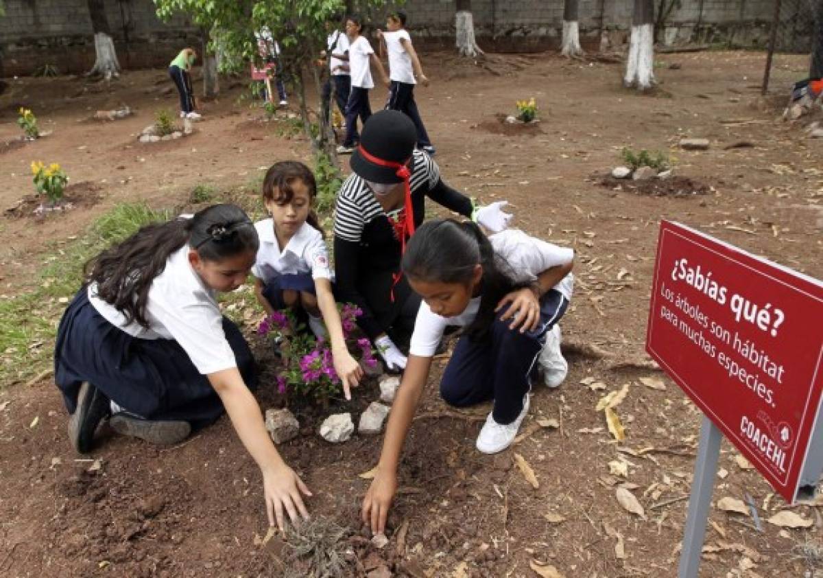 Coacehl reforesta y revive áreas verdes