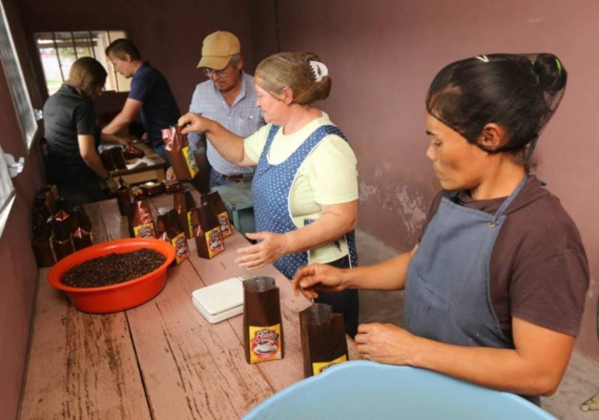 Santiago de Puringla, la cuna del café de excelencia