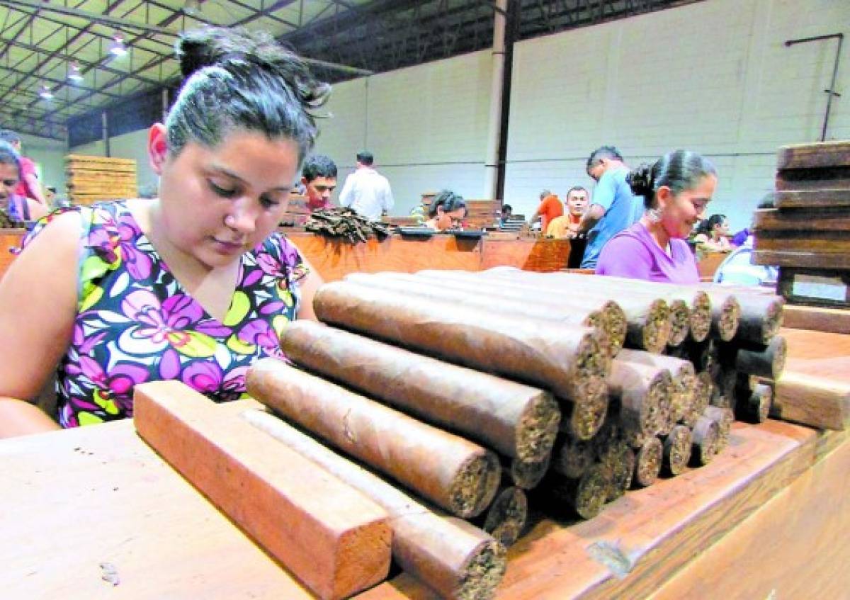 Industria del tabaco abrirá nuevas plazas laborales