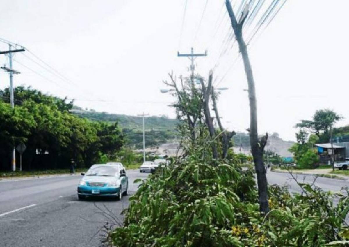 ENEE suspende temporalmente energía en occidente de Tegucigalpa