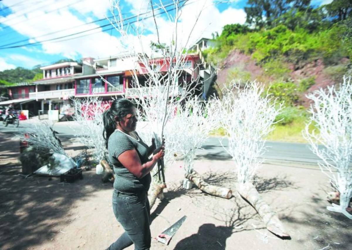 Árbol de ramas secas, tradición que sobrevive