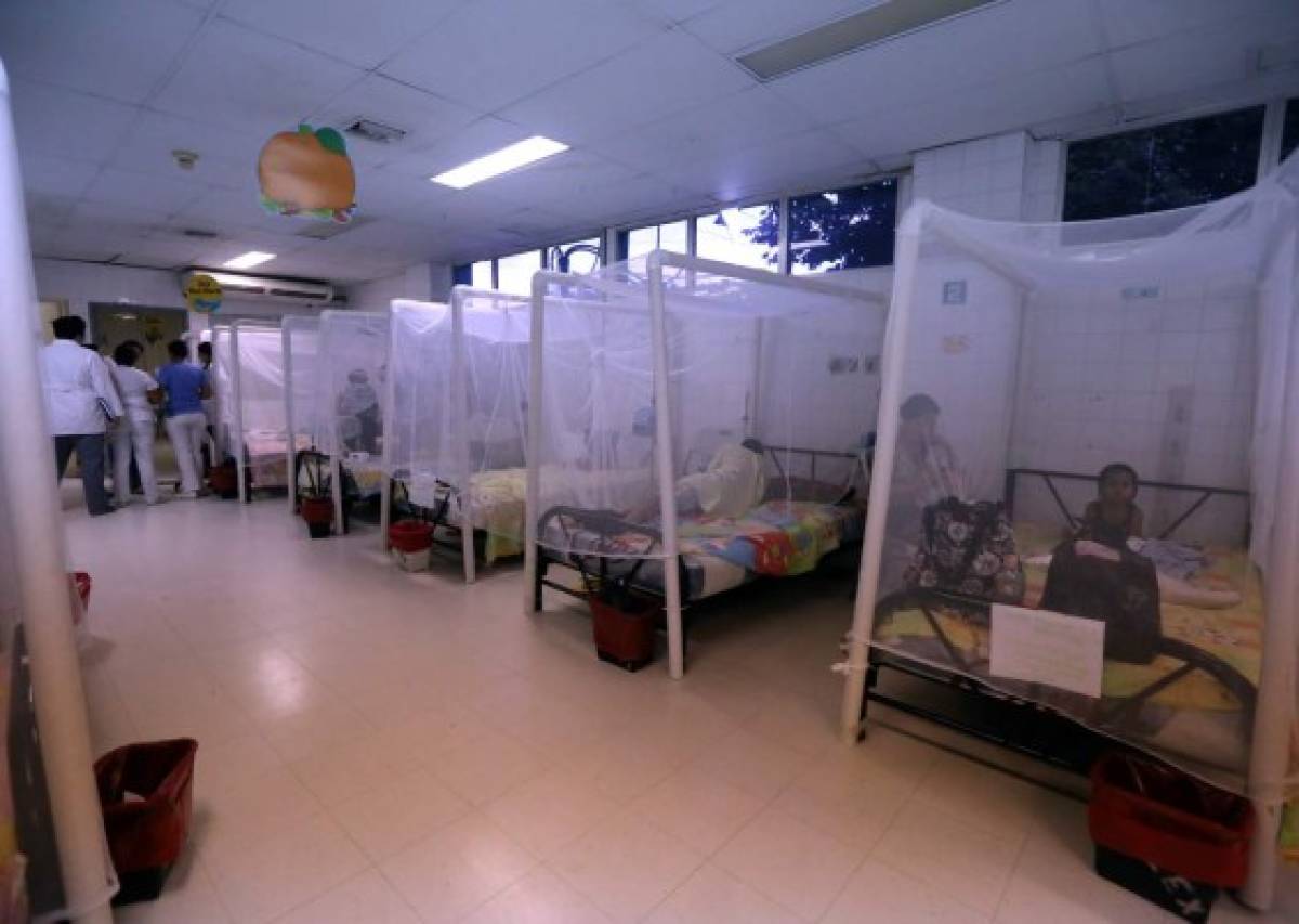 Honduras: L 212 millones se han invertido en chikungunya, dengue y zika