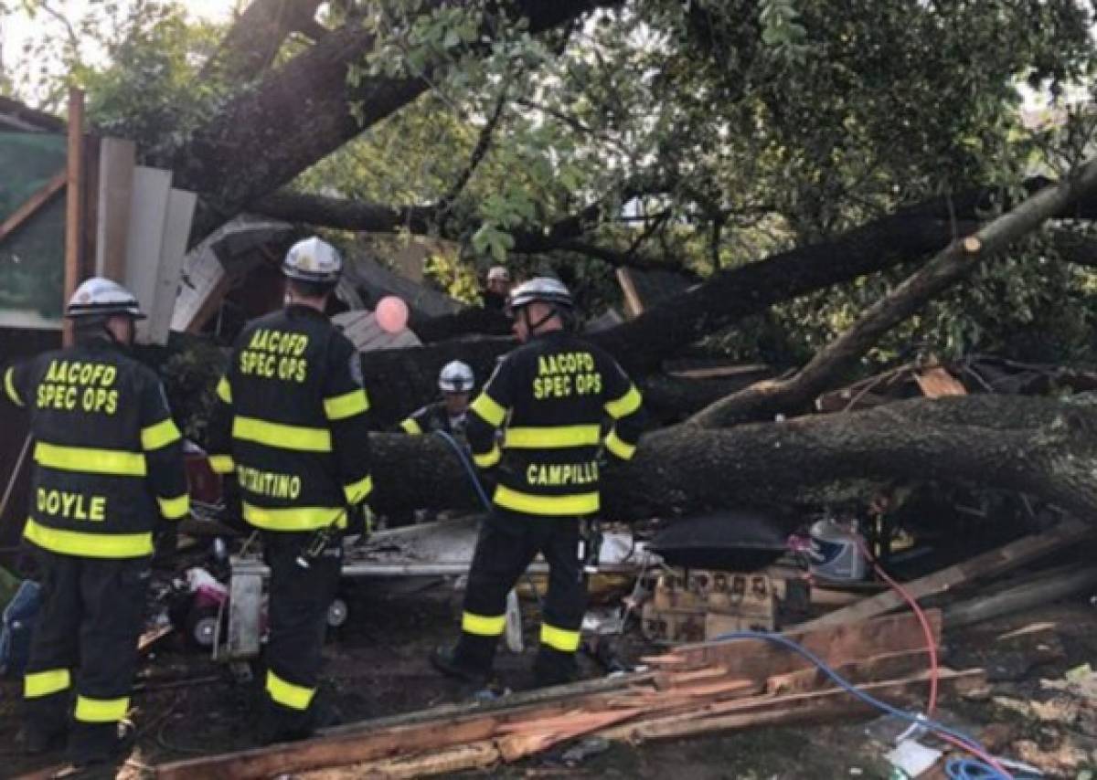 Caída de árbol durante tormenta deja 19 heridos en Maryland