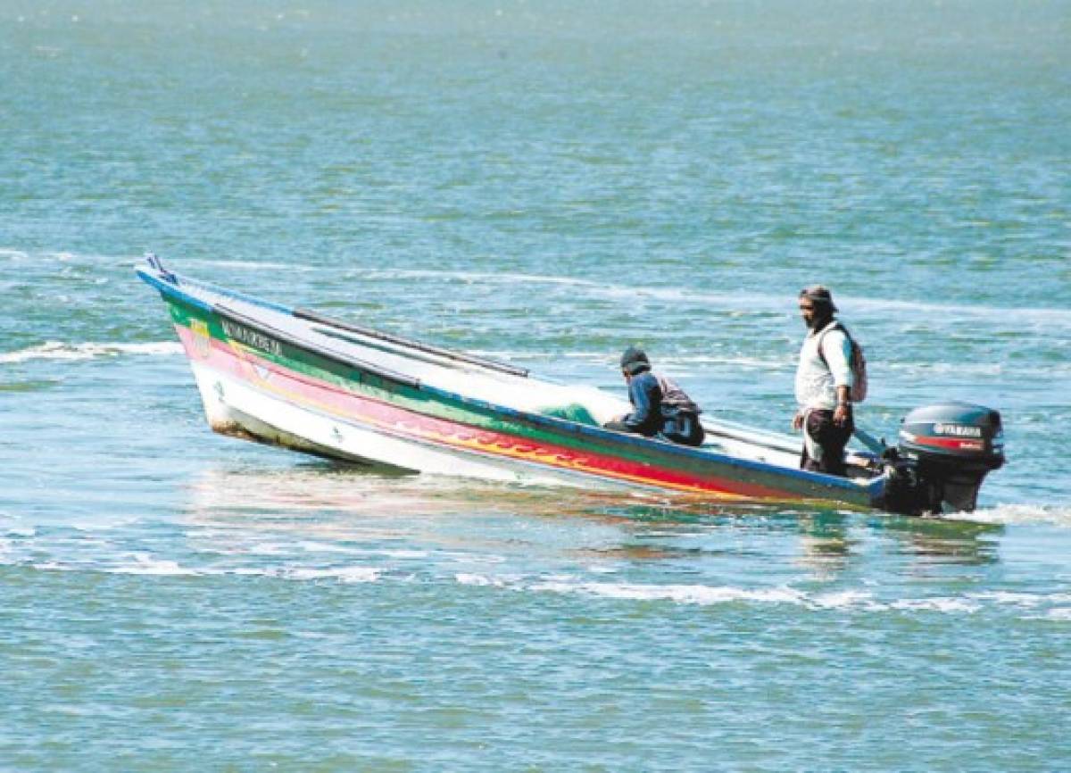Pesca artesanal del sur se ha reducido en más del 70%