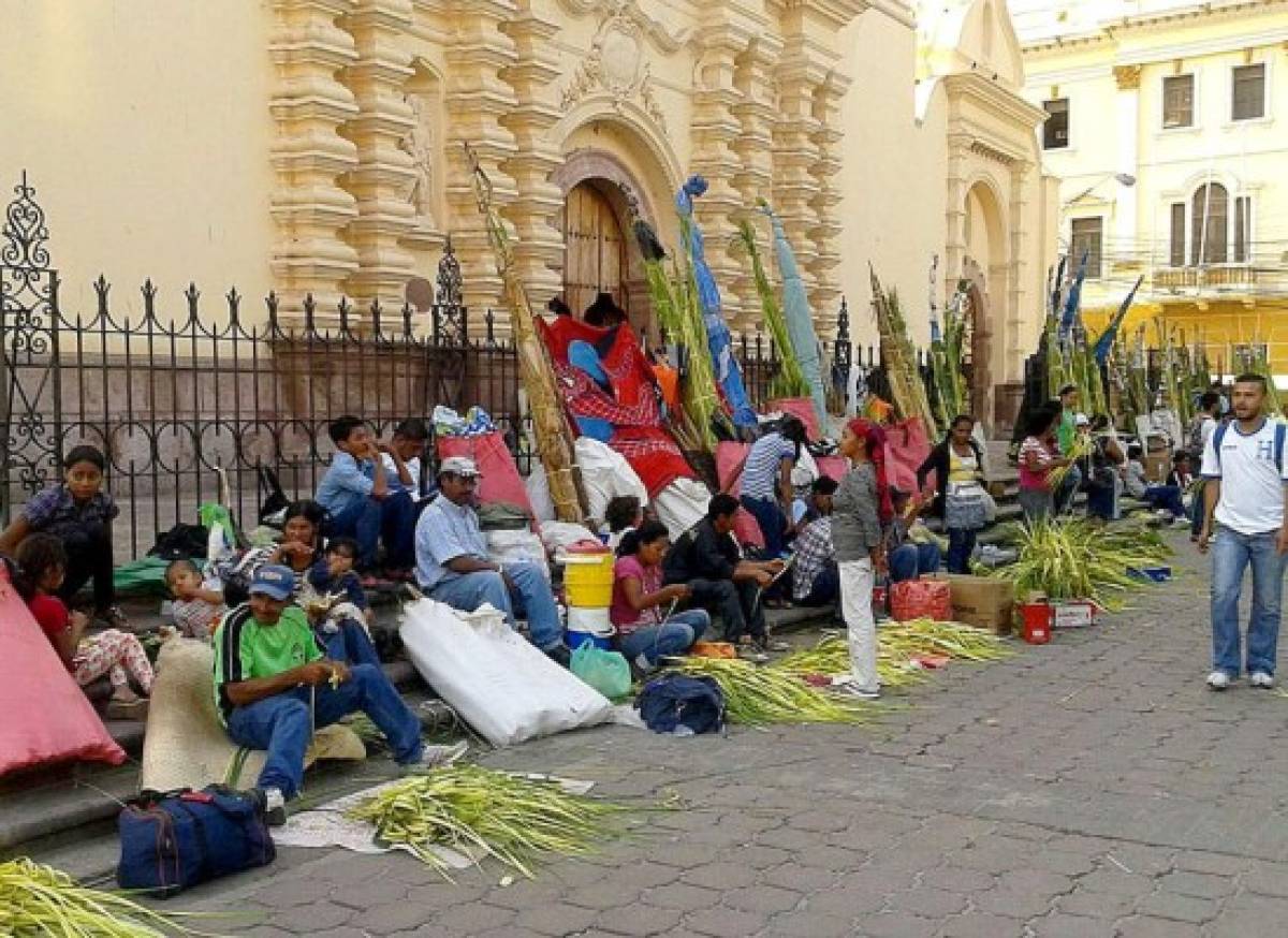 Palmas de olivo invaden Tegucigalpa