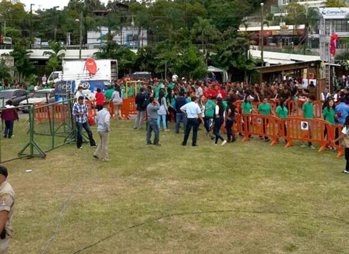 Honduras rompe récord Guinness con árbol