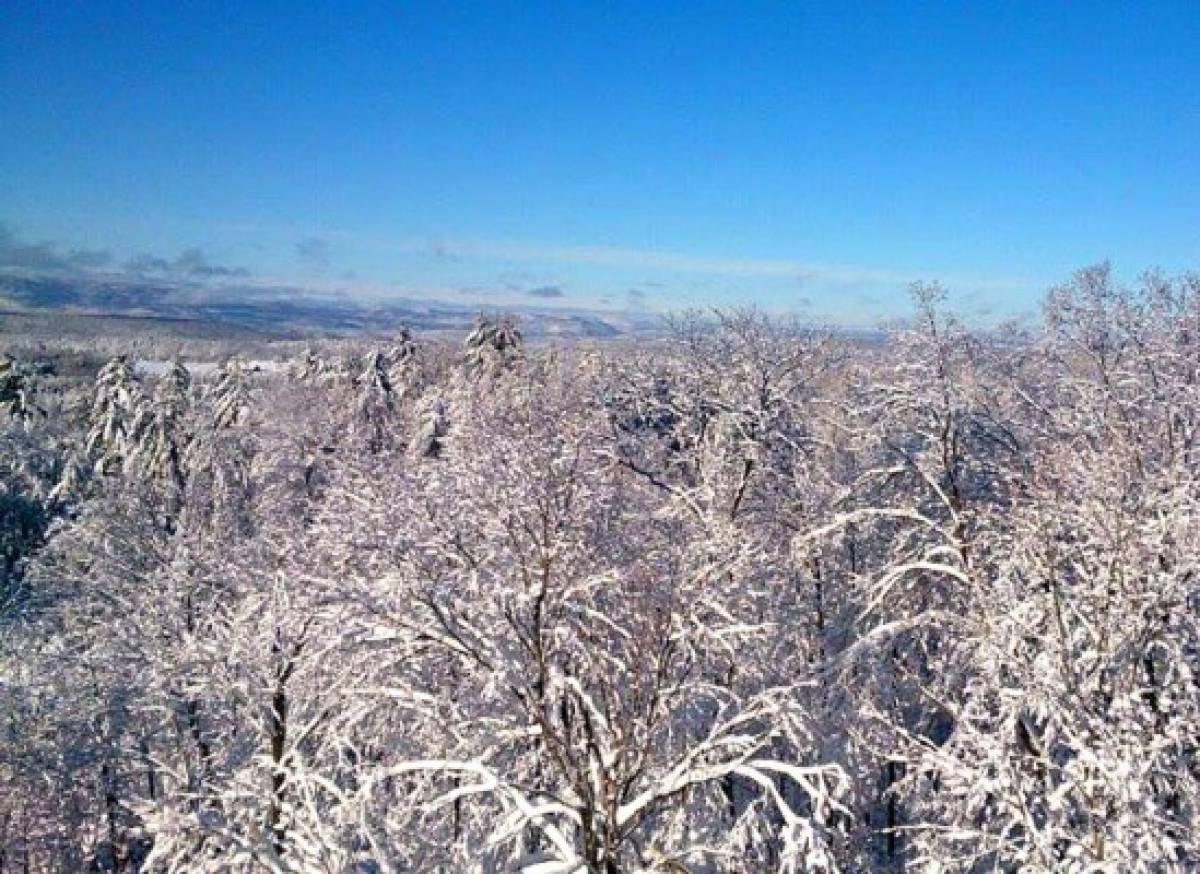 Así viven la nevada los migrantes hondureños en Estados Unidos