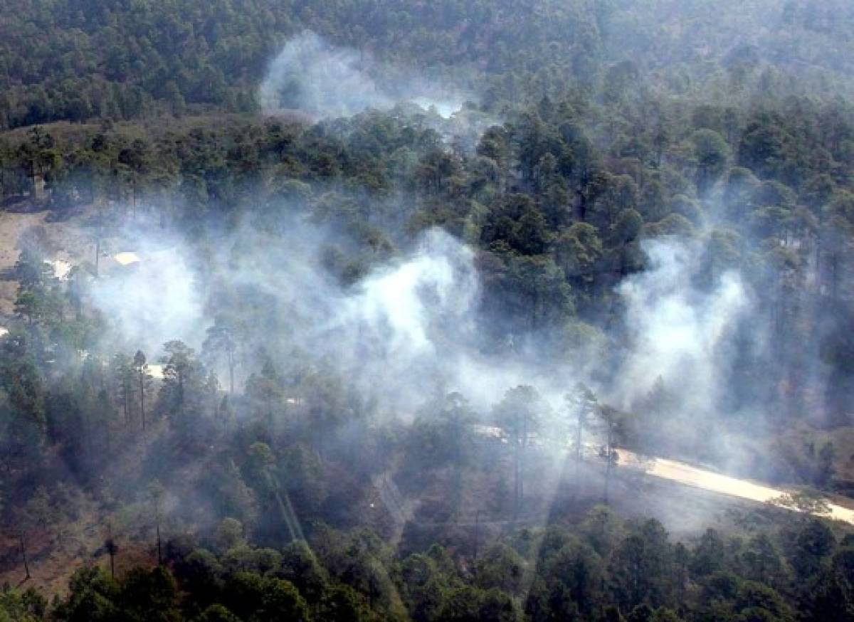 Honduras: Más de 17 mil hectáreas de bosque consumidas por incendios