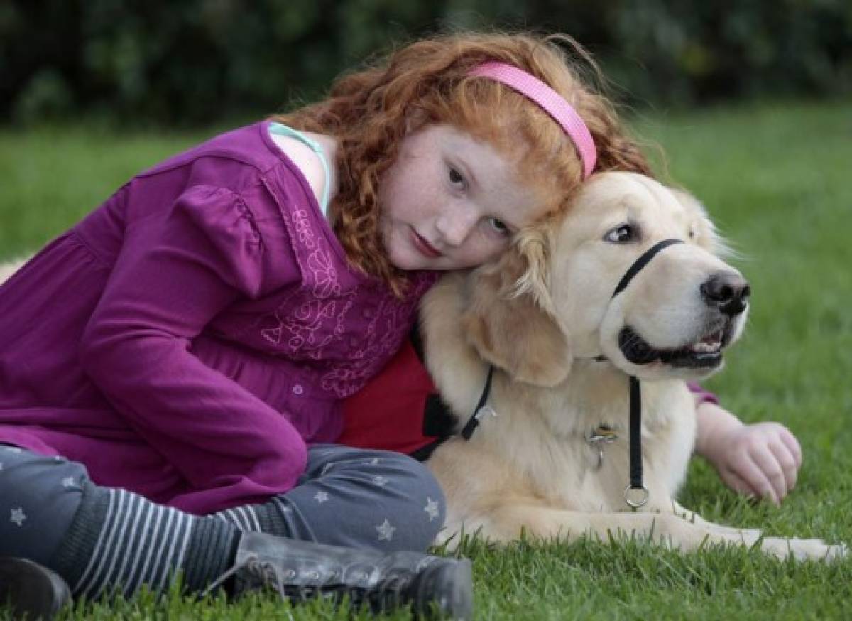 Perros para niños epilépticos