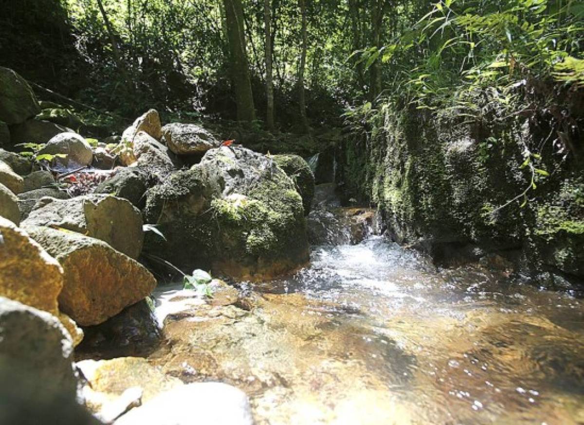 Turismo verde sin salir de Tegucigalpa