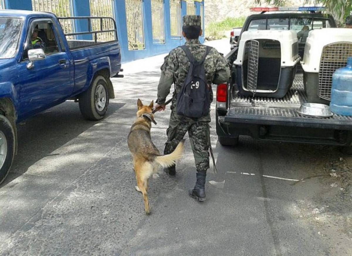 Honduras: Inspeccionan rastra que transportaría droga