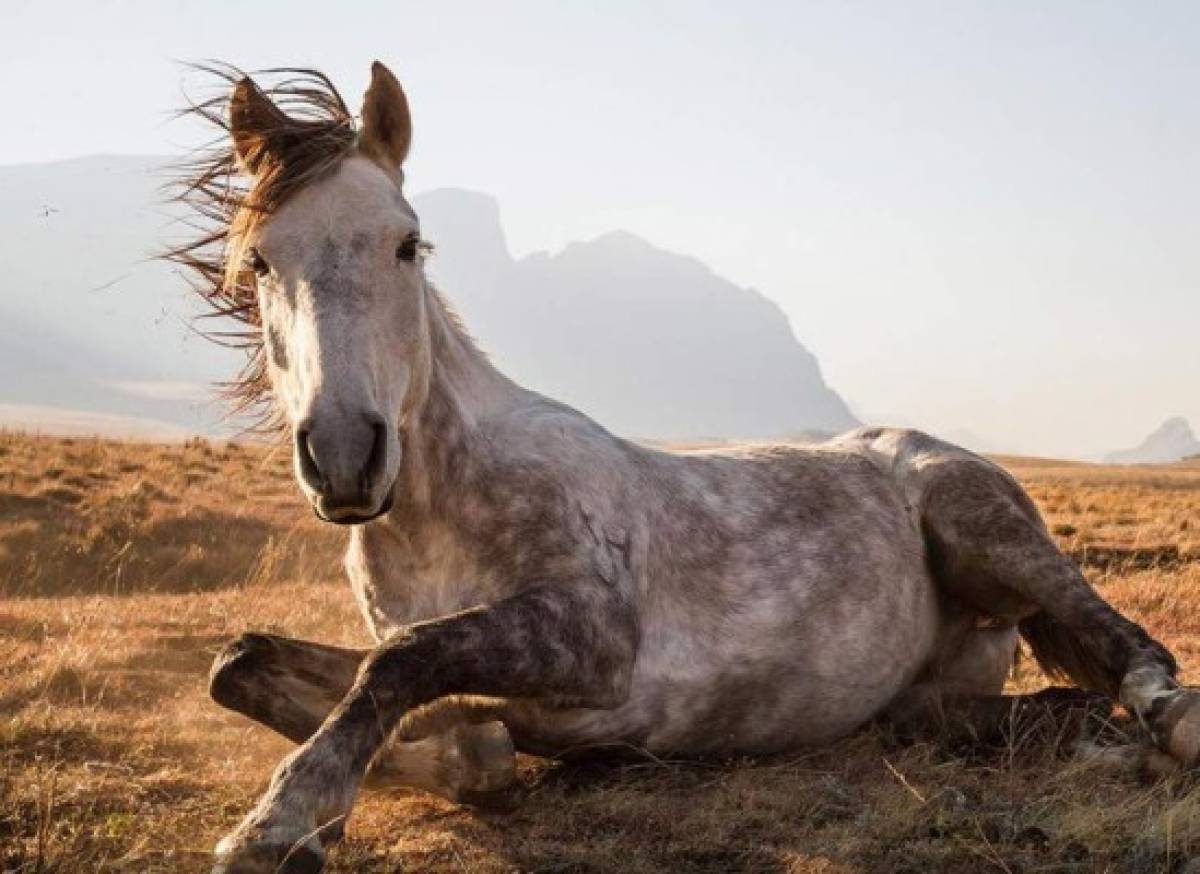 Las mejores fotografías de National Geographic Traveler en 2014