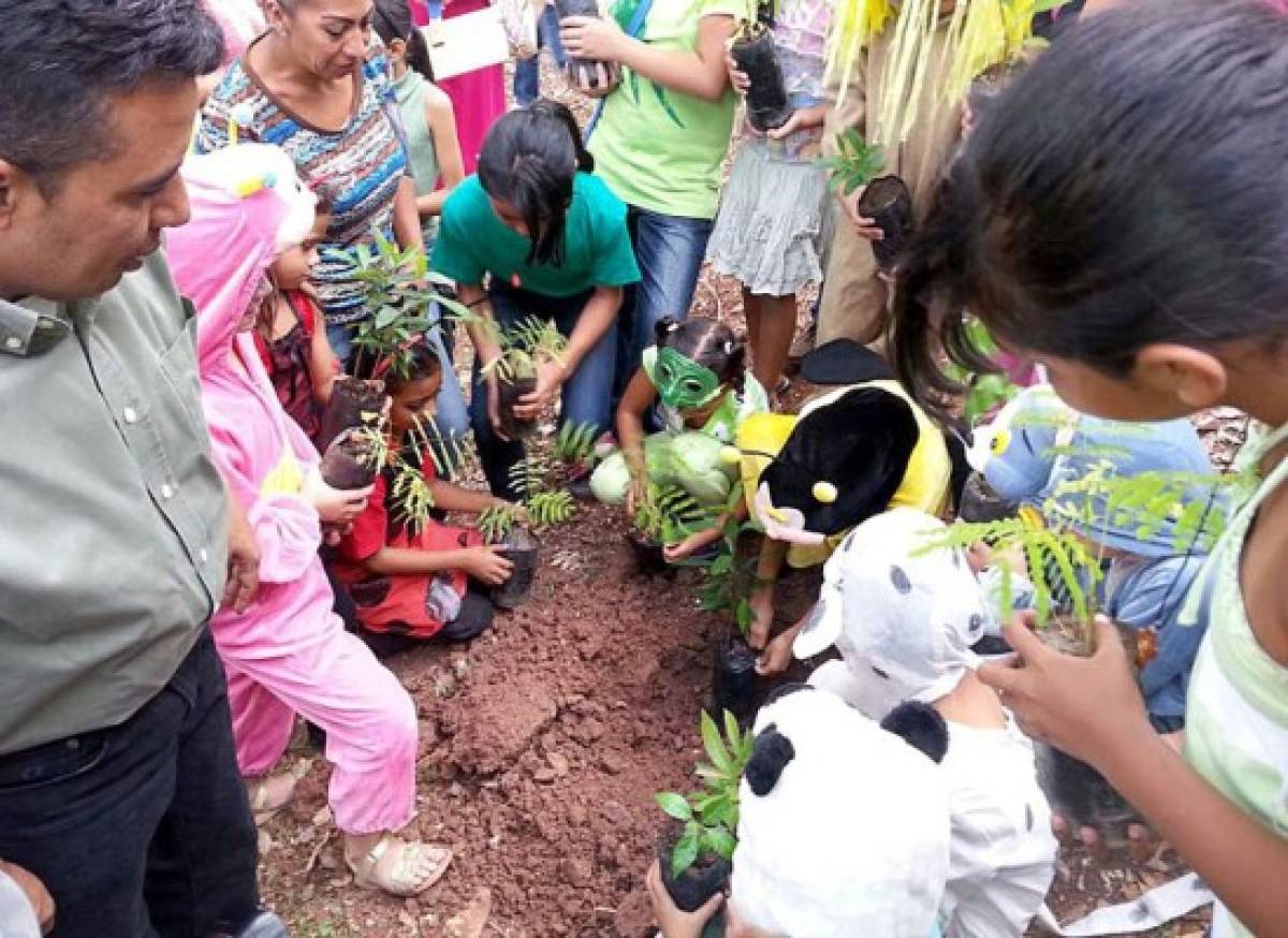 Celebran el Día del Árbol en Honduras