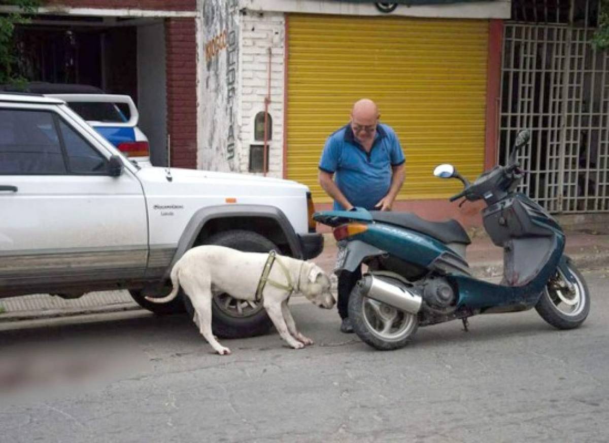 Hombre arrastra a su perro en una motocicleta