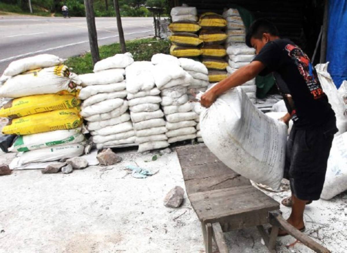 Por 500 lempiras, niños pican piedra durante una semana