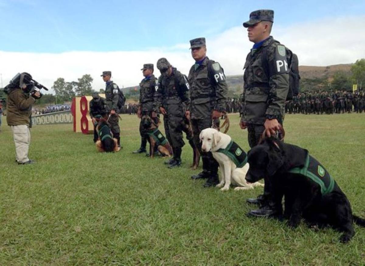 Presentan primer batallón canino de Honduras